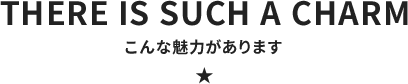 こんな魅力があります！